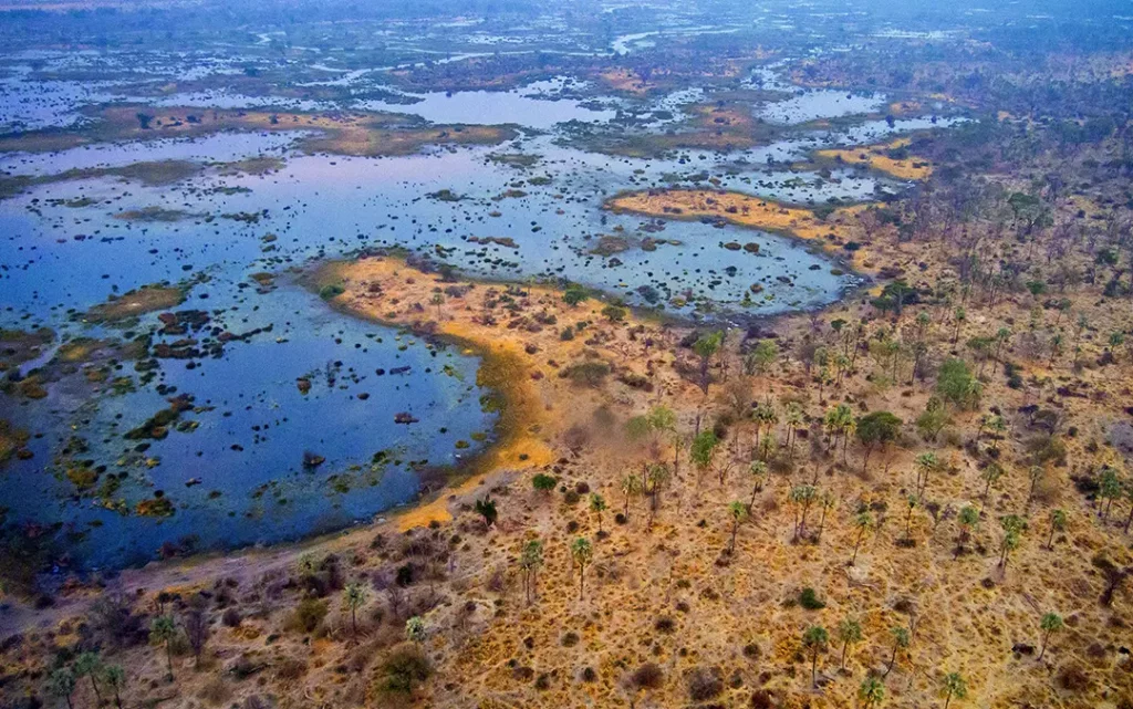 Okuvango Delta, Botswana