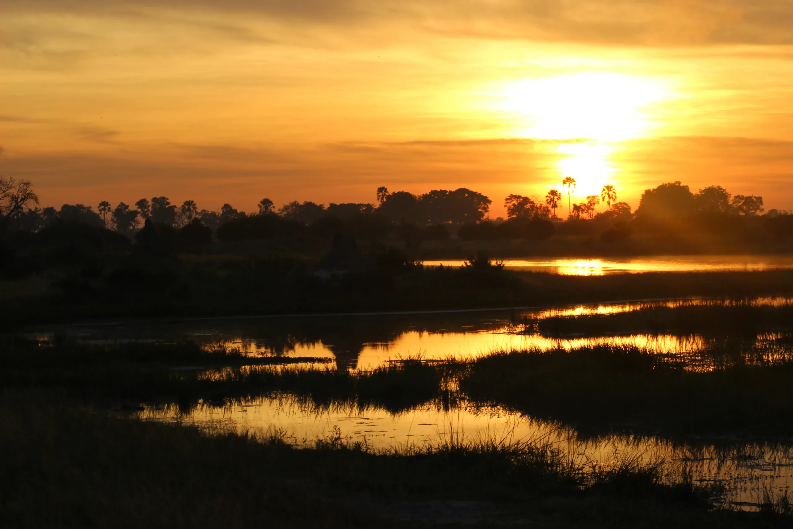 Sunrise over the Okavango Delta