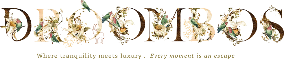 Logo of Droombos
