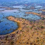 Aerial view of Okavango Delta, Botswana