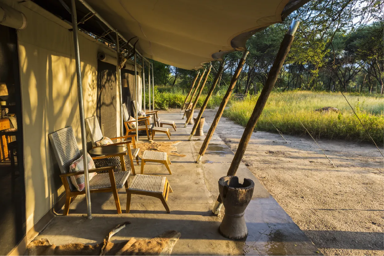 Tented camps at Maun