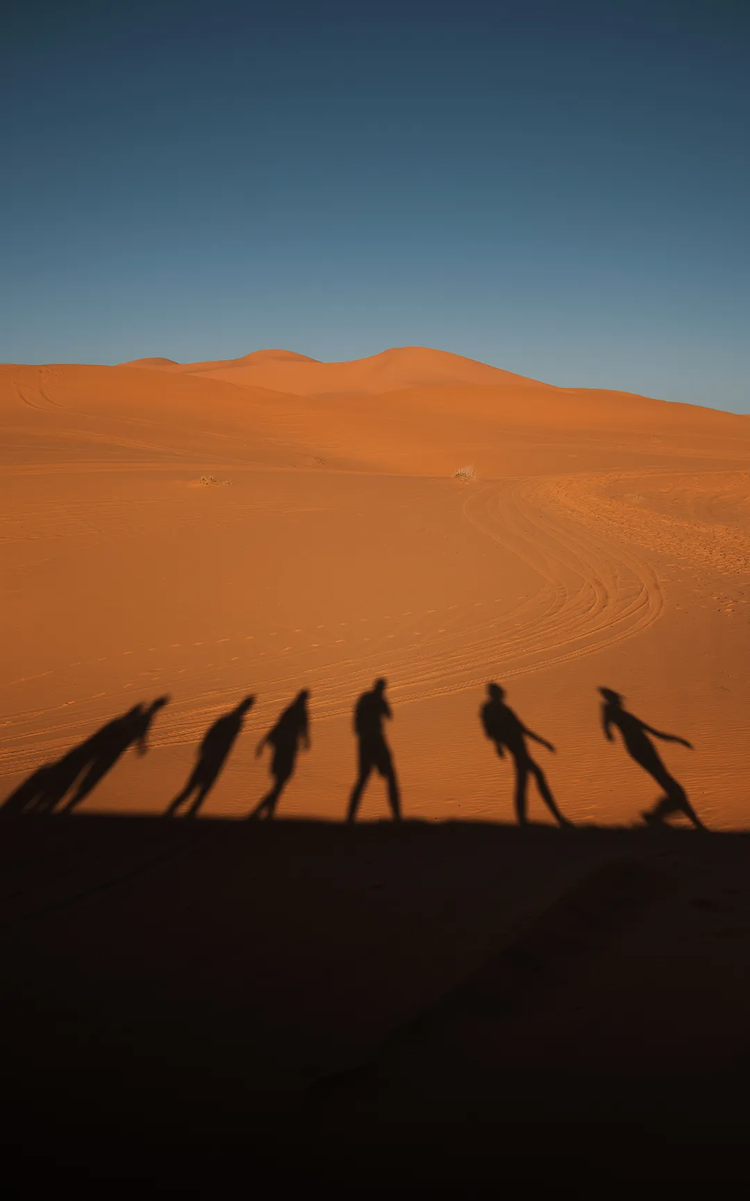 Shadows of tourists walking on dune