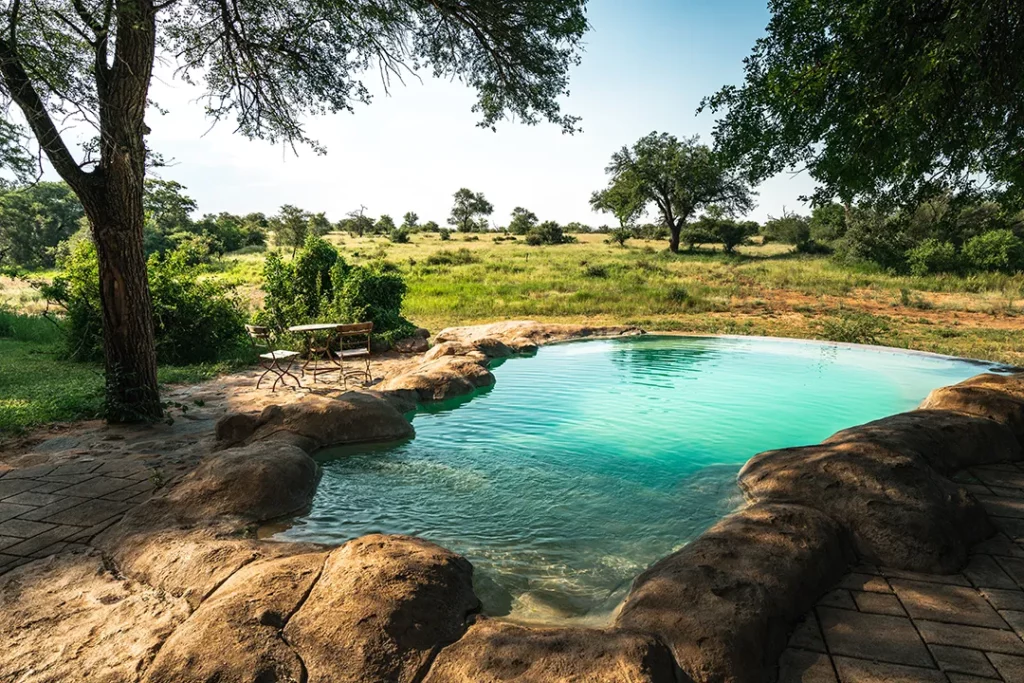 Motswari Private Game Reserve