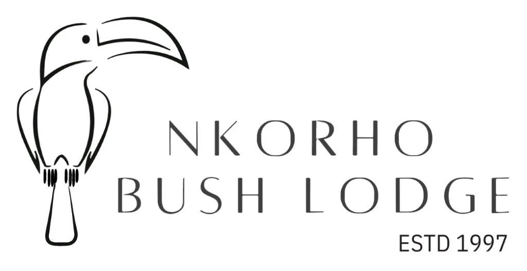 Logo of Nkorho Bush Lodge