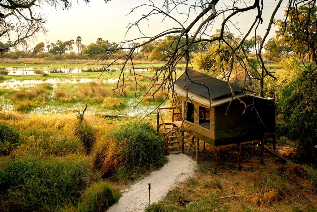 Oddballs' Camp