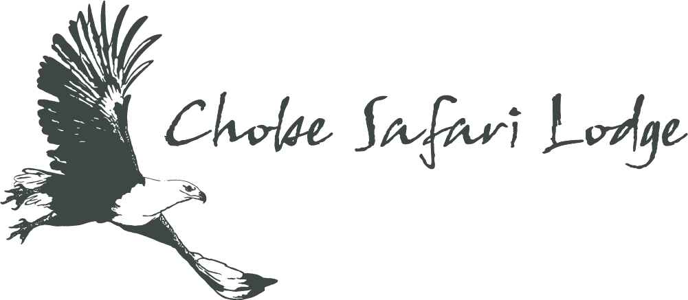 Logo of The Chobe Safari Lodge