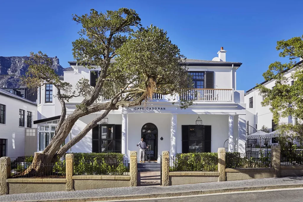 Cape cadogan