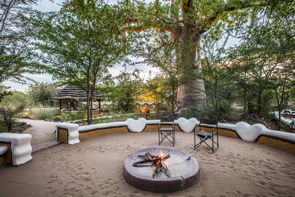 Planet Baobab