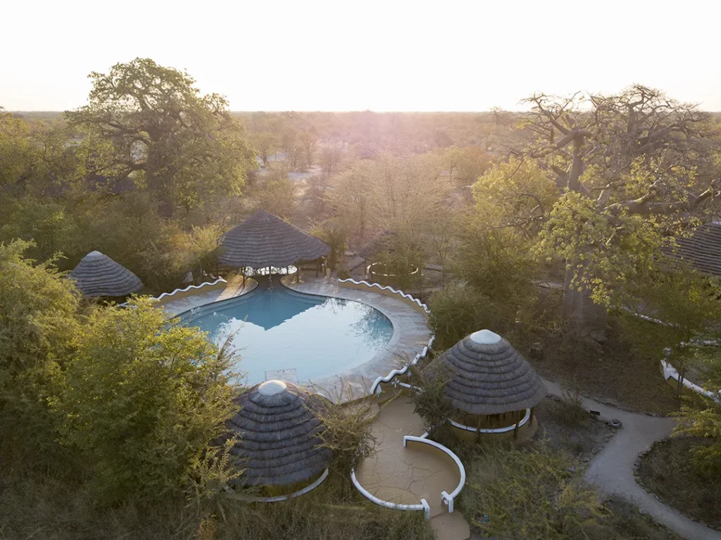 Planet Baobab