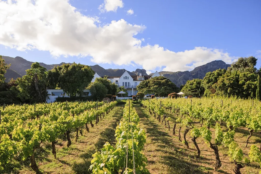 The Cellars Hohenort